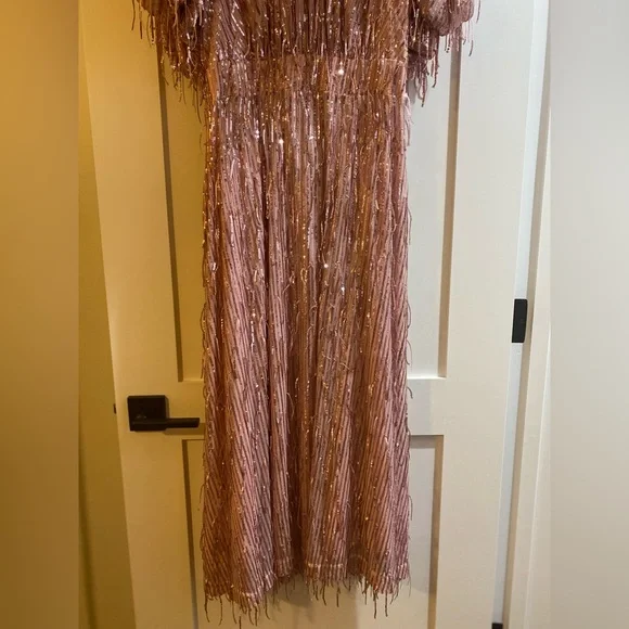 Rotate Birger Christensen Dawn Sequins Fringes Dress - Worn Once - Picture 5 of 9